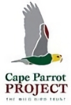 cape parrot