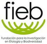 fieb