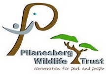 pilanesberg