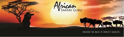 safari guru